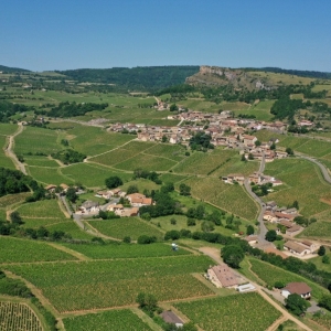 Vignerons Associés